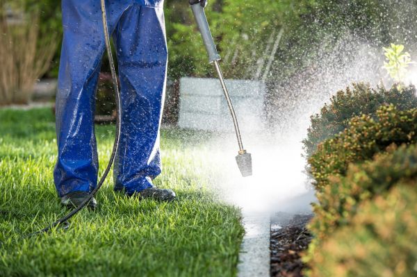 Cost of Curb Cleaning in Stamford