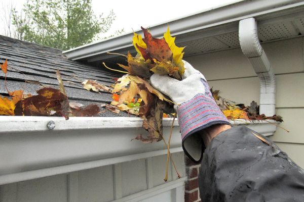 Cost of Eaves Cleaning in Stamford