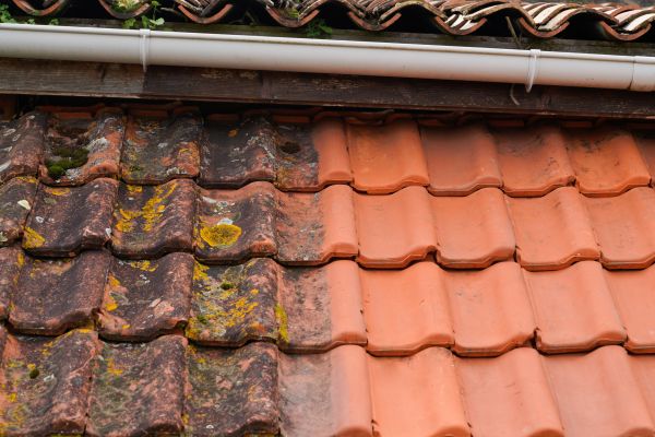 Cost of Industrial Roof Cleaning in Stamford