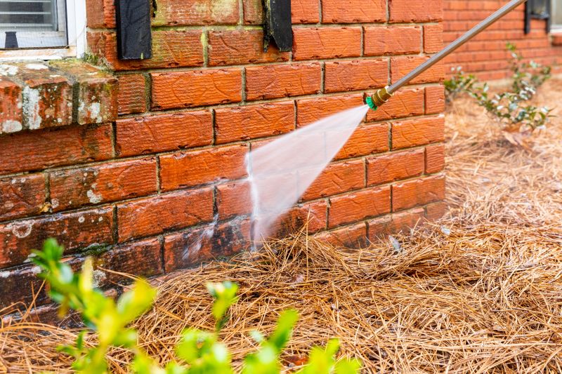 Brick Facade Cleaning